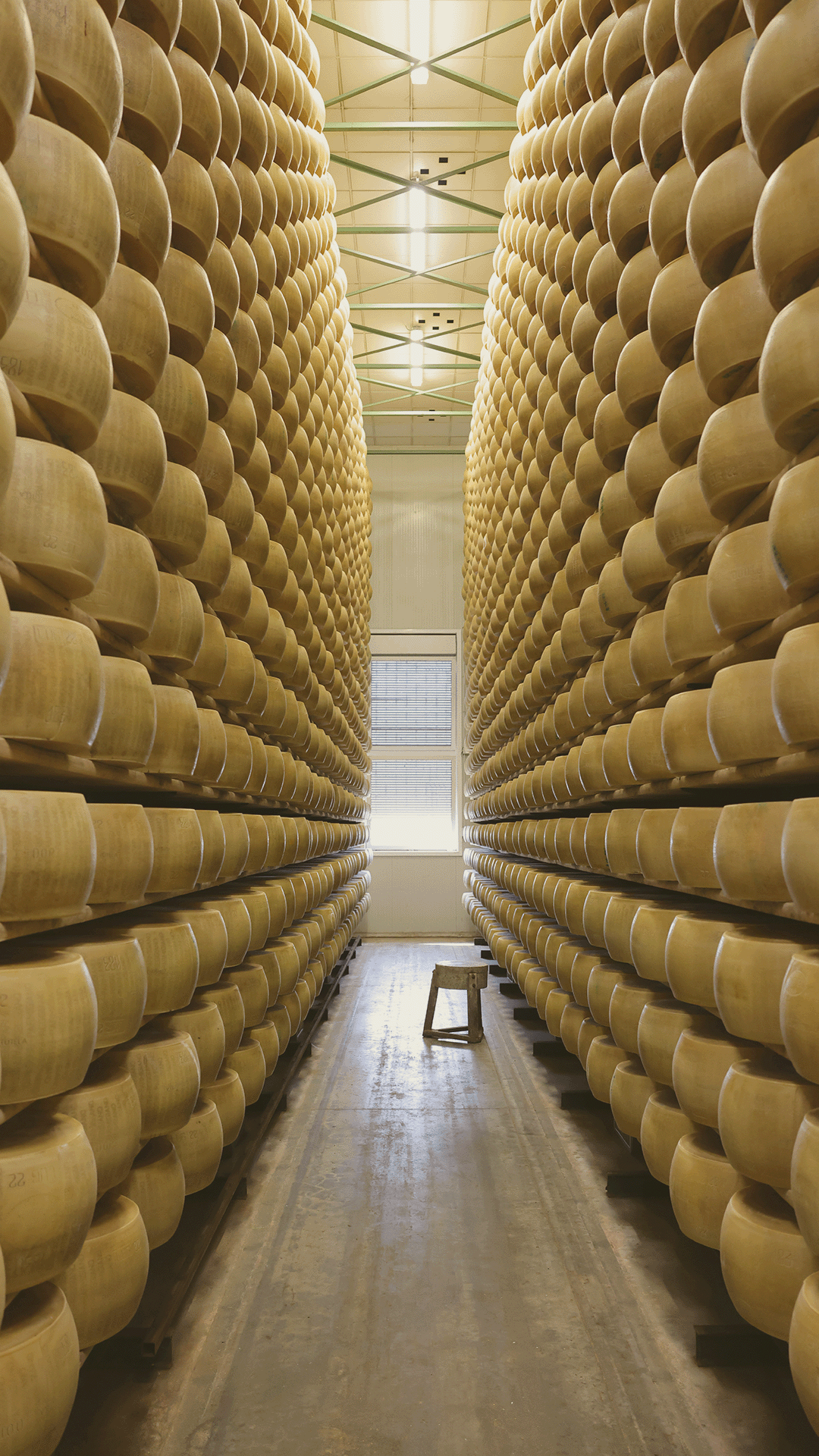 Tavola da disegno 1 copia 2