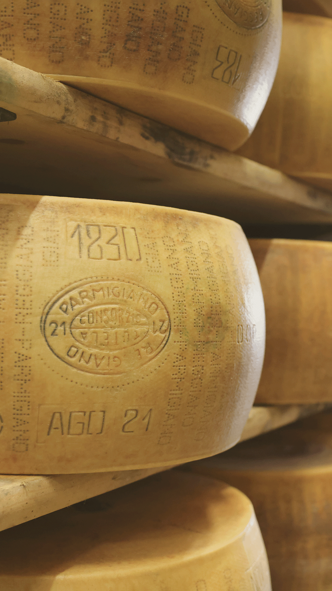 Tavola da disegno 1 copia 3