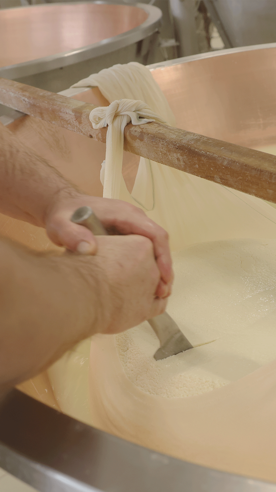 Tavola da disegno 1 copia 4